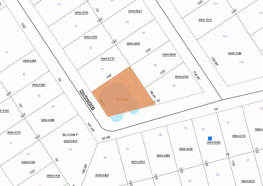 000 Roebuck Street, Georgetown, FL 32139 - #2