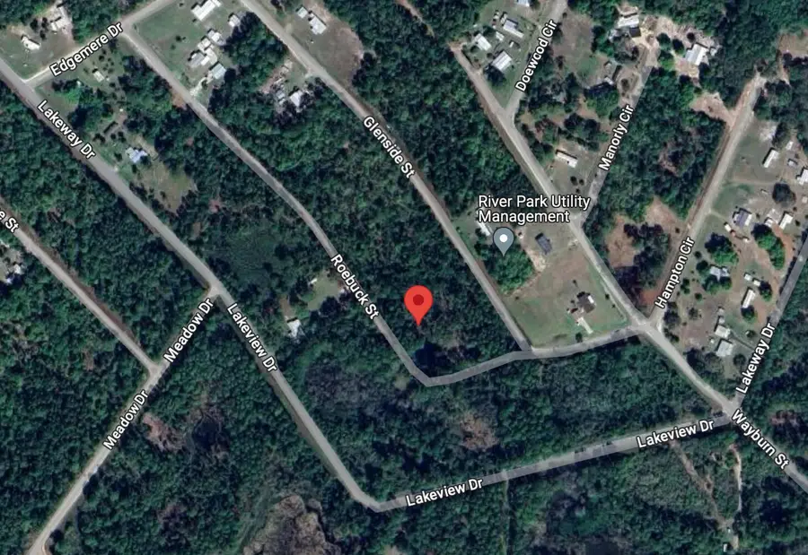 000 Roebuck Street, Georgetown, FL 32139 - #3