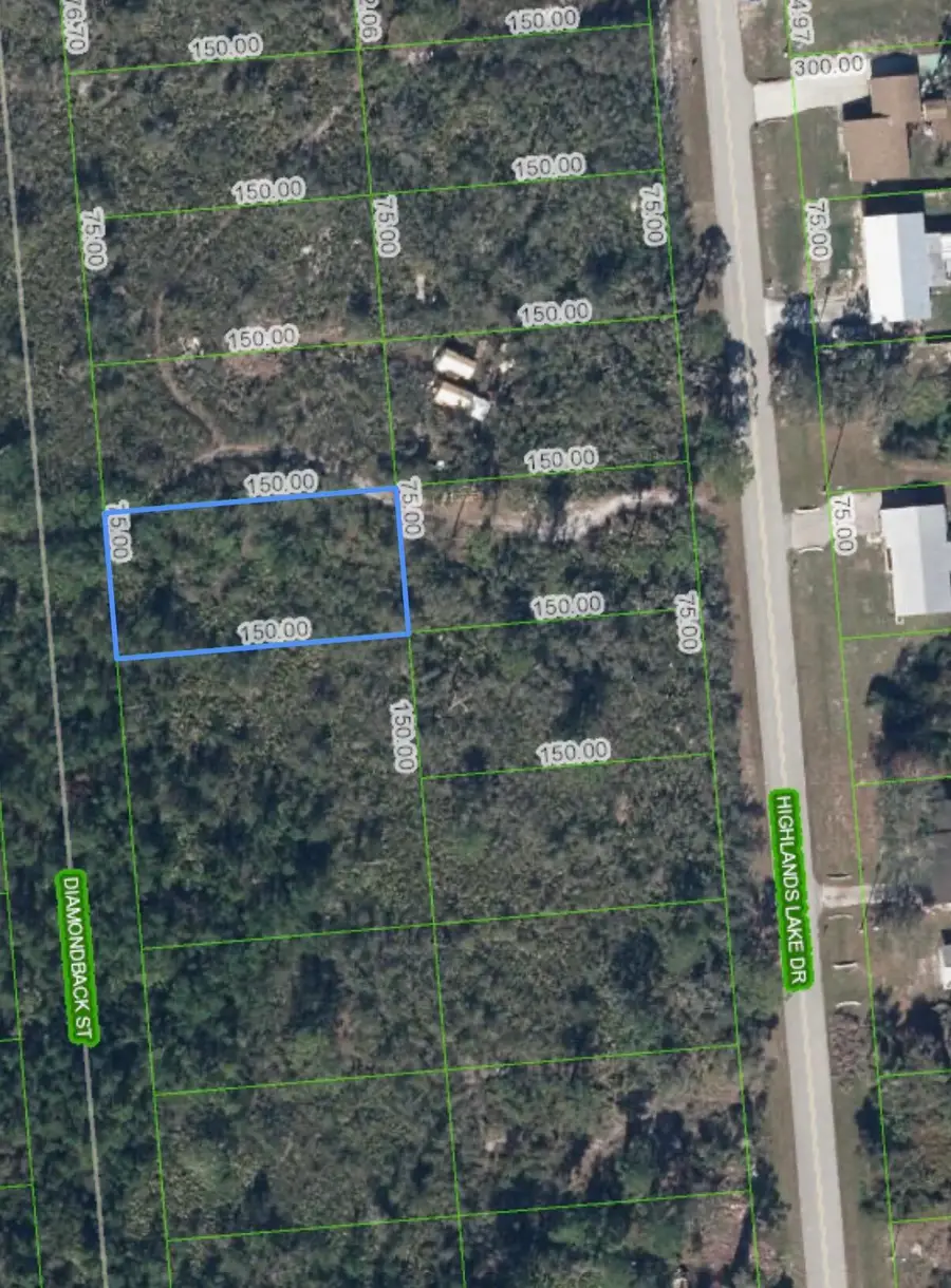651 Mckinley Street, Lake Placid, FL 33852 - #3