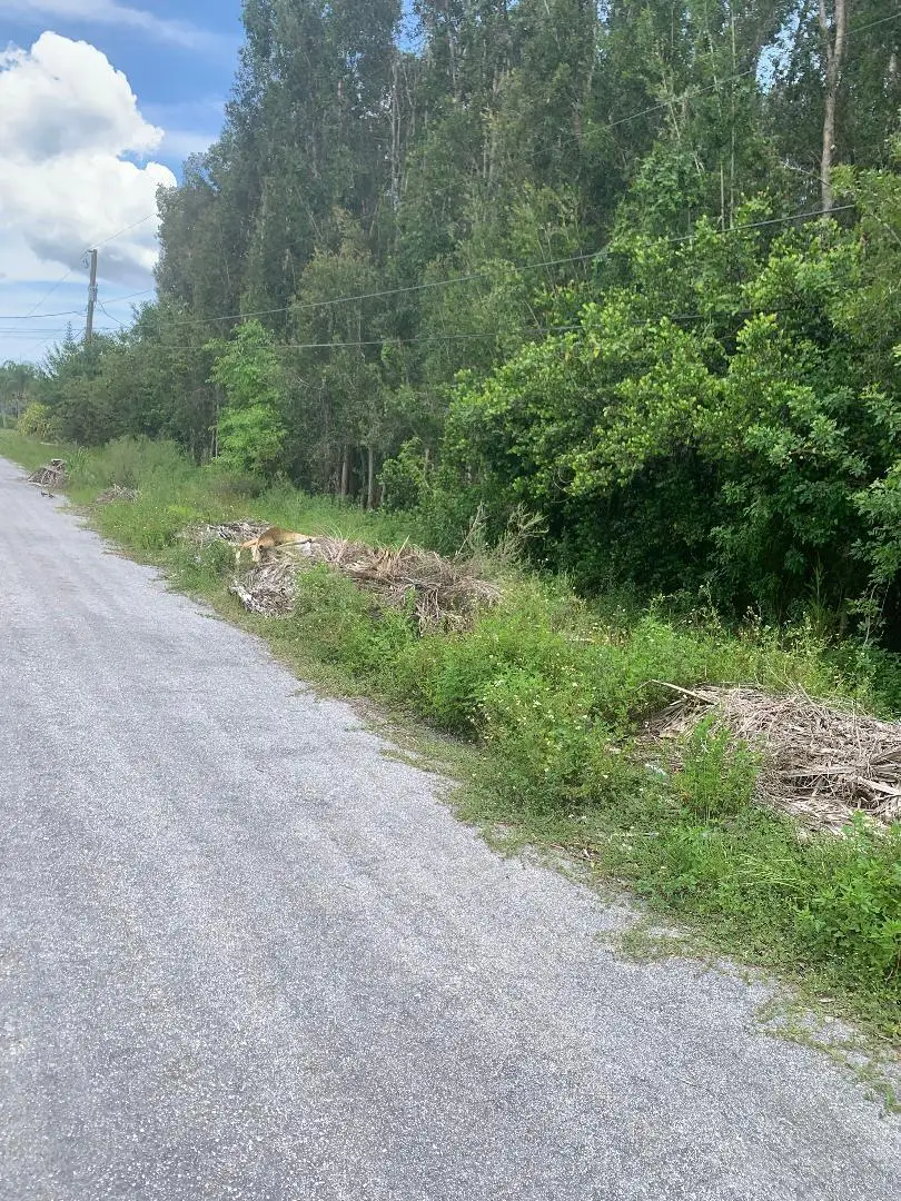 0000 87th Street N, The Acreage, FL 33412 - #2