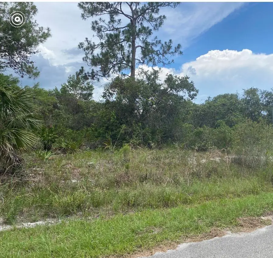 1010 Archie Summers Road, Lake Placid, FL 33852 - #1