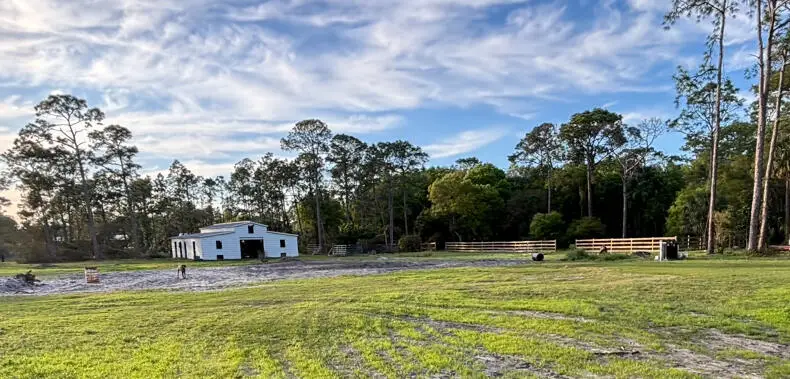 12951 NE 26th Avenue, Okeechobee, FL 34972 - #2
