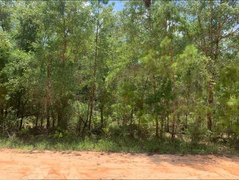 115 Florida Boulevard, Satsuma, FL 32189 - #1