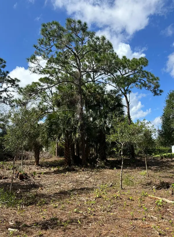 9125 106th Avenue, Vero Beach, FL 32967