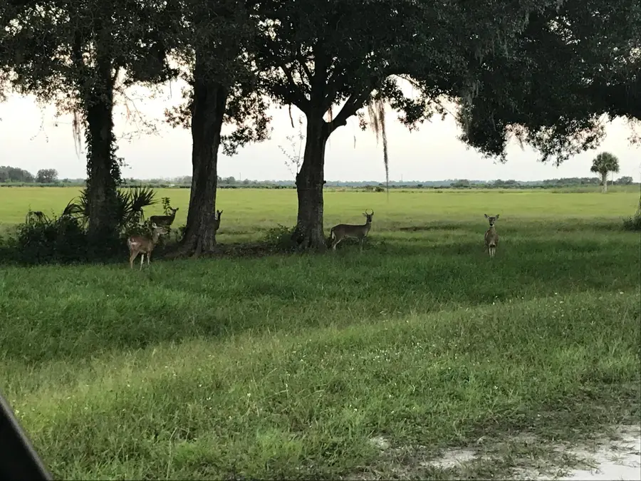 32801 Us Hwy 441 N, Okeechobee, FL 34972 - #3