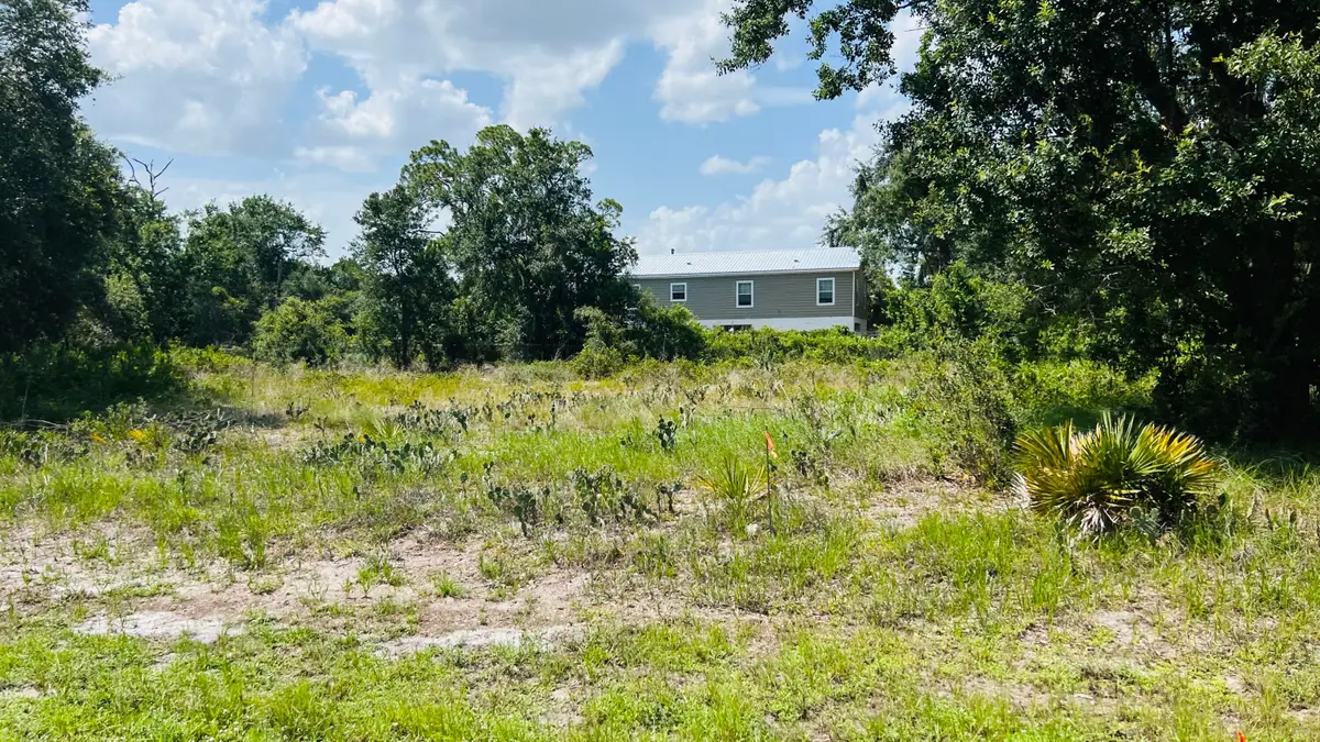 3151 Miller Avenue, Lake Placid, FL 33852 - #1