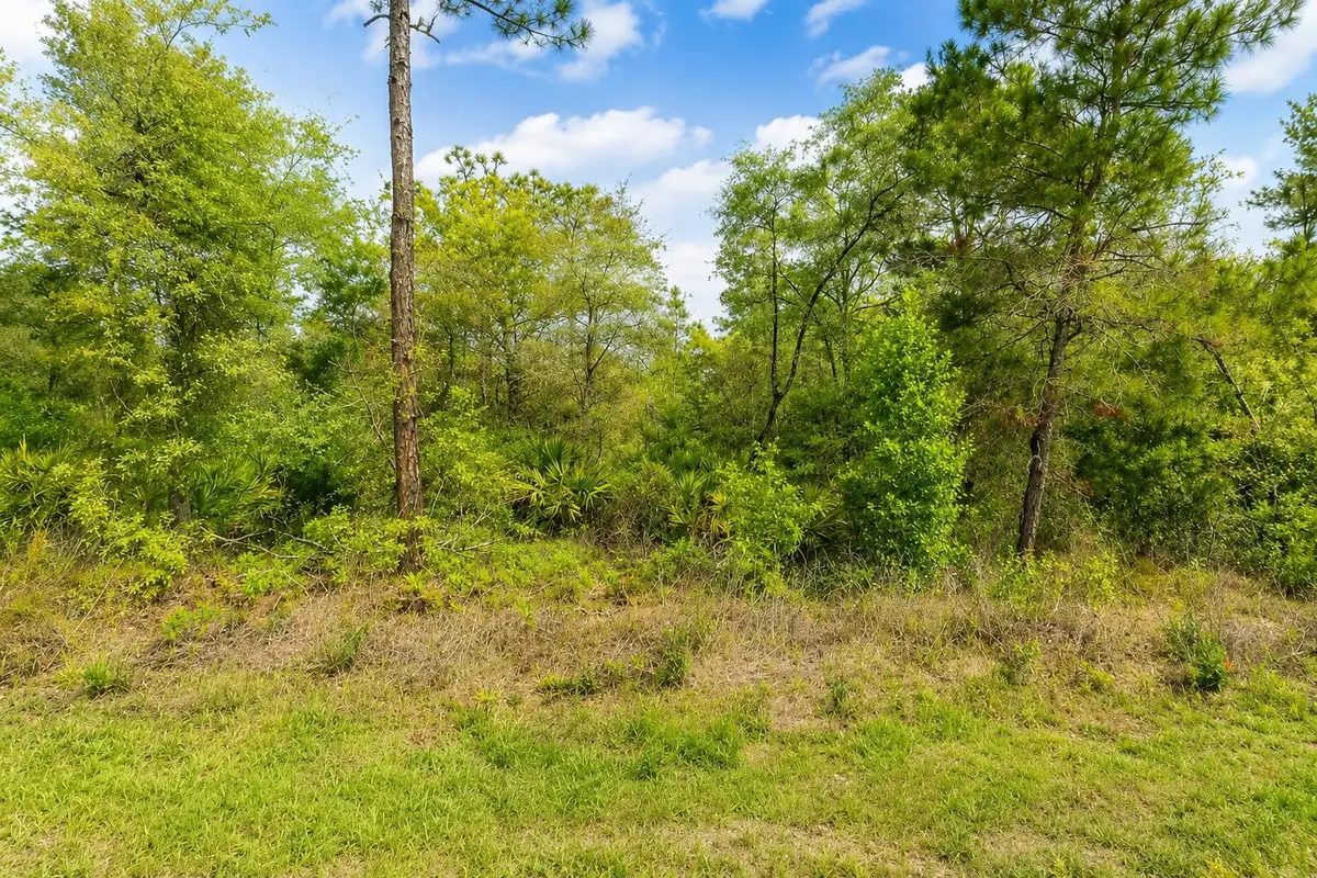 3075 W Bedford Lane, Dunnellon, FL 34433 - #1