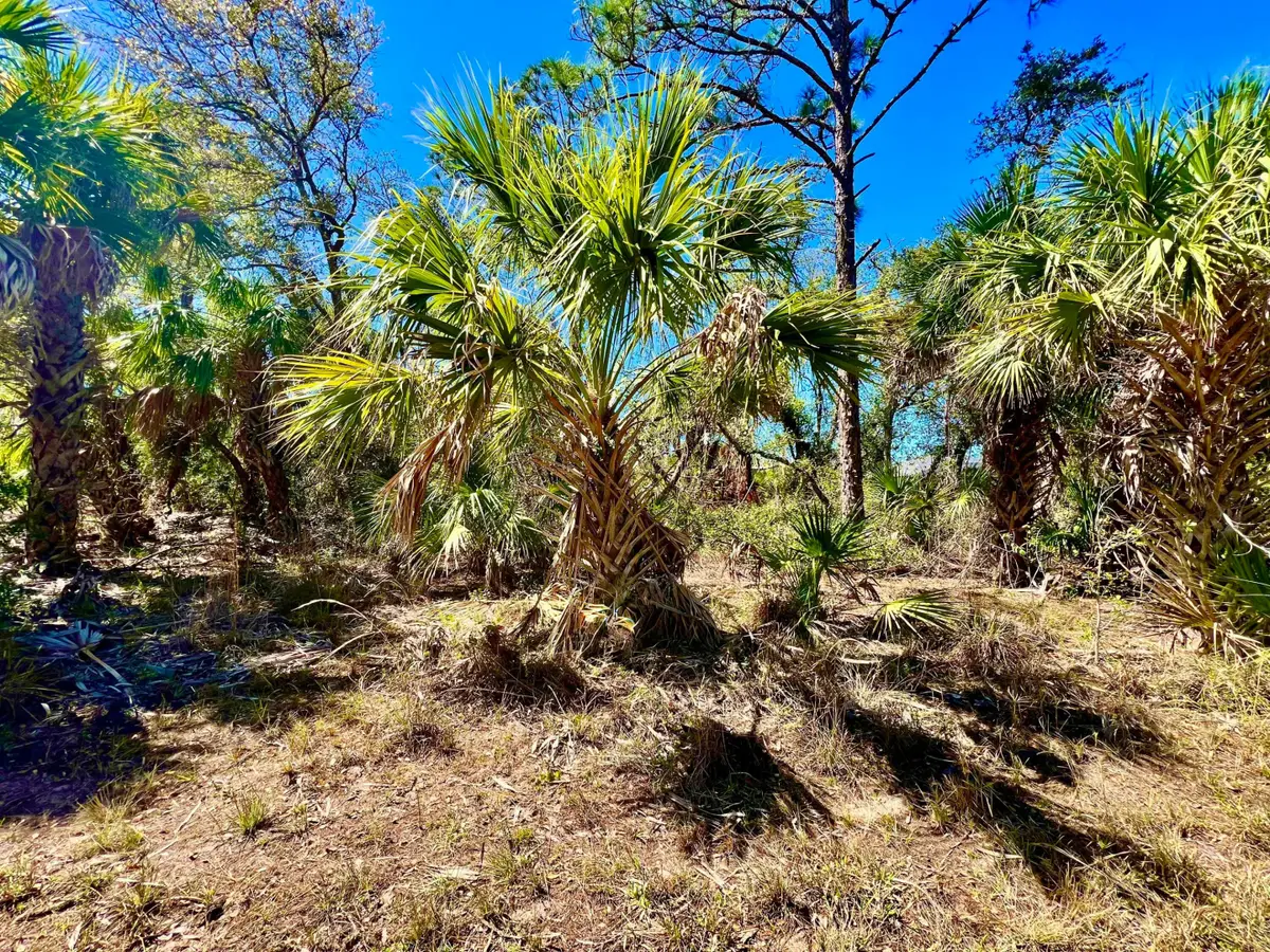 441 Juper Street, Port Charlotte, FL 33953 - #1