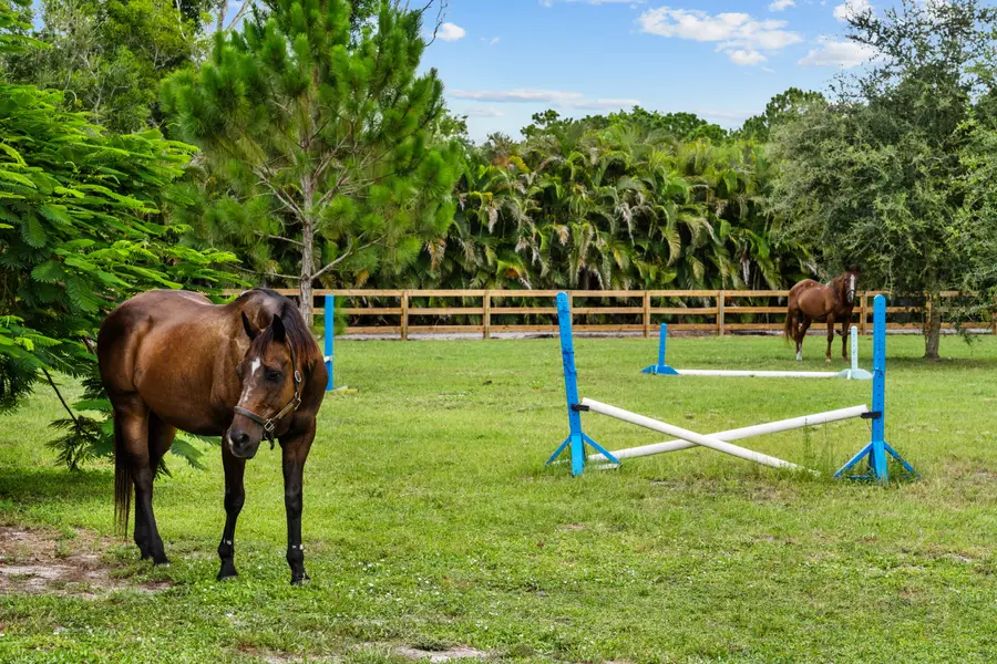 19925 Black Falcon Road, Loxahatchee, FL 33470 - #3