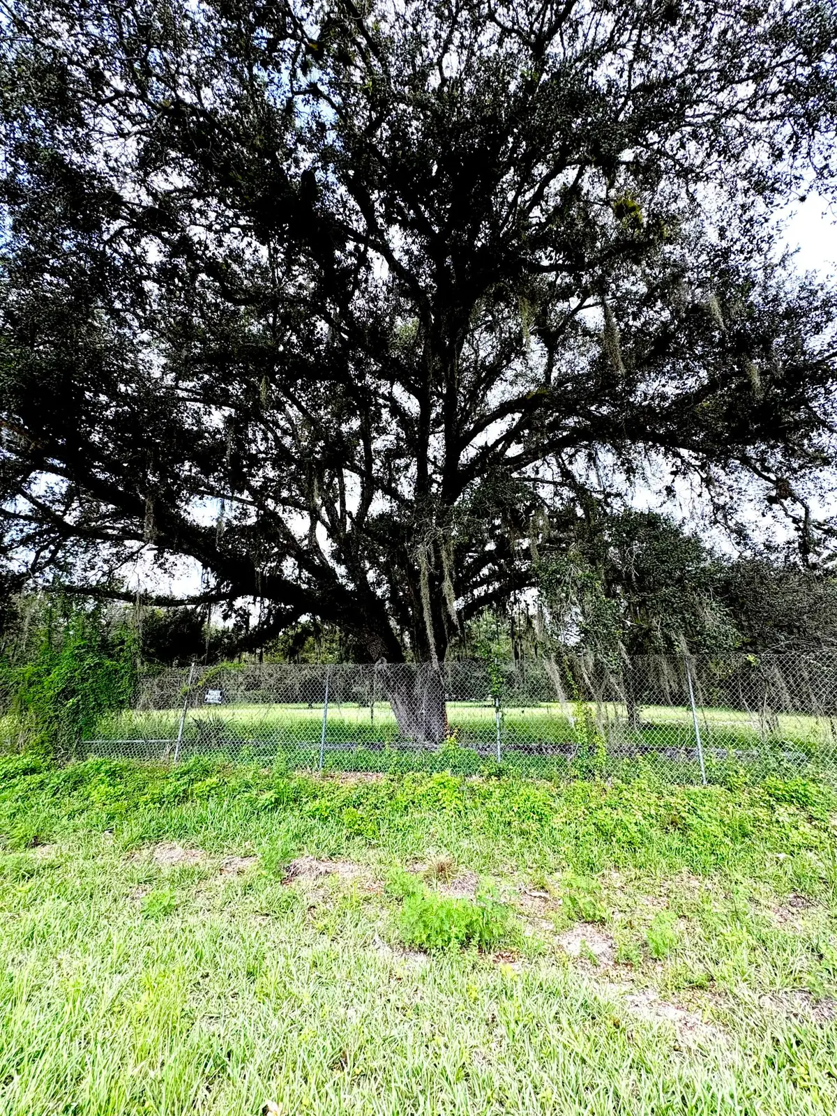 450 S Jinete Street, Clewiston, FL 33440 - #1