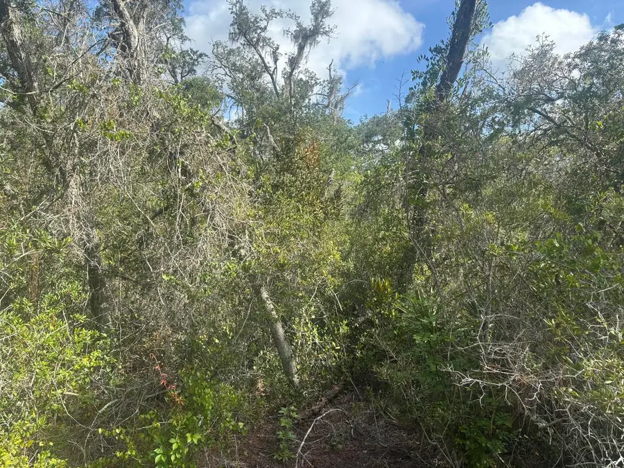 336 Stardust Avenue, Lake Placid, FL 33852 - #2