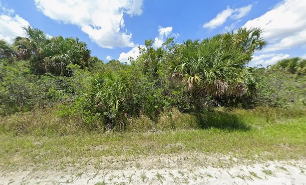 2954 Sage Avenue Sw, Palm Bay, FL 32908 - #1