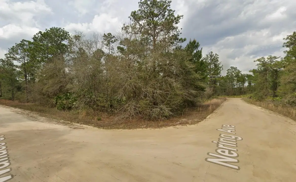Tbd Wallace Street, Interlachen, FL 32148 - #1