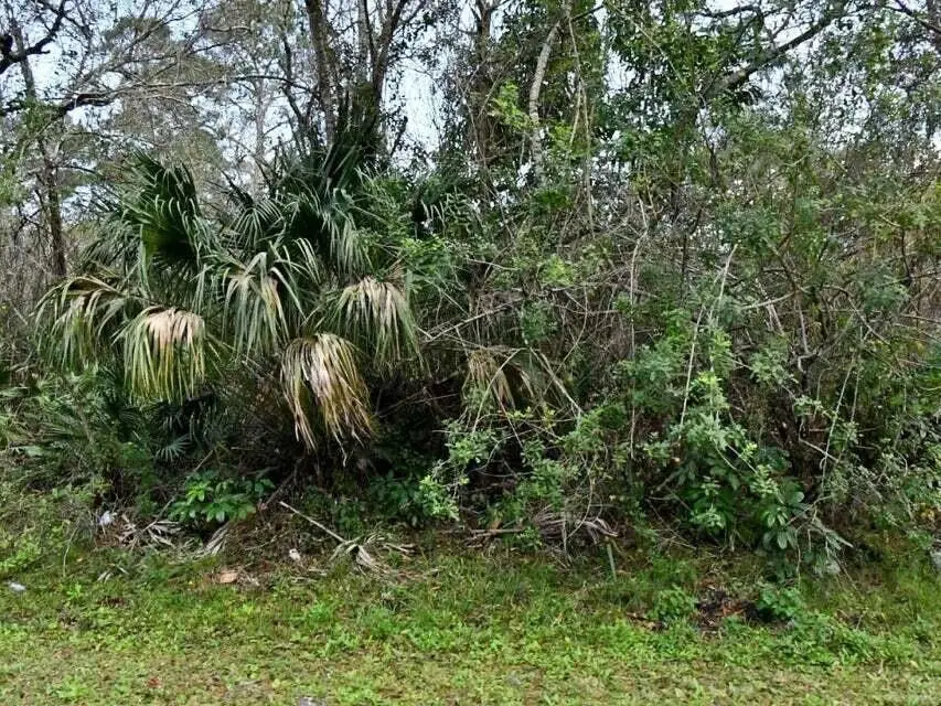 2120 Scott Avenue, Alva, FL 33920 - #1