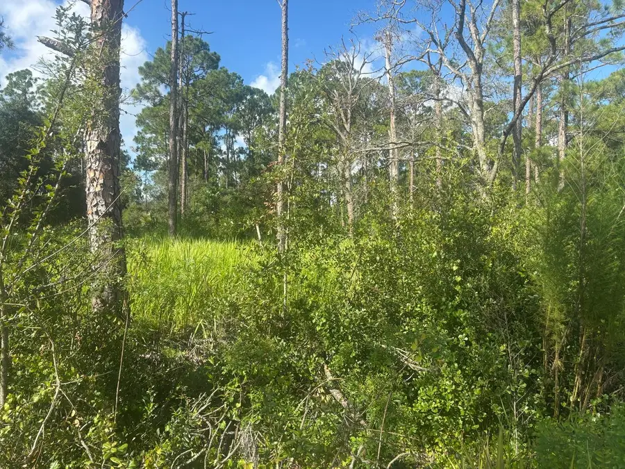 284 Rhapsody Avenue, Lake Placid, FL 33852 - #2