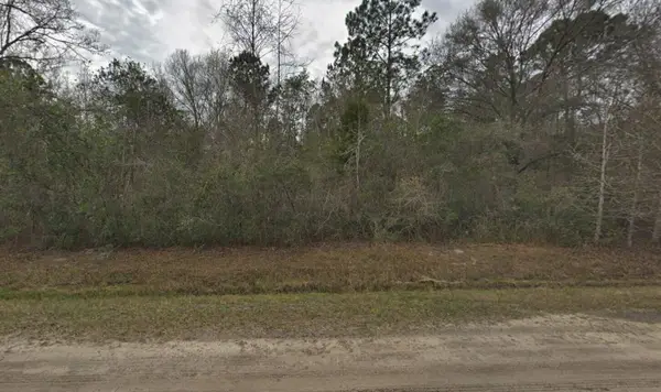 10135 Nikolich Avenue, Hastings, FL 32145