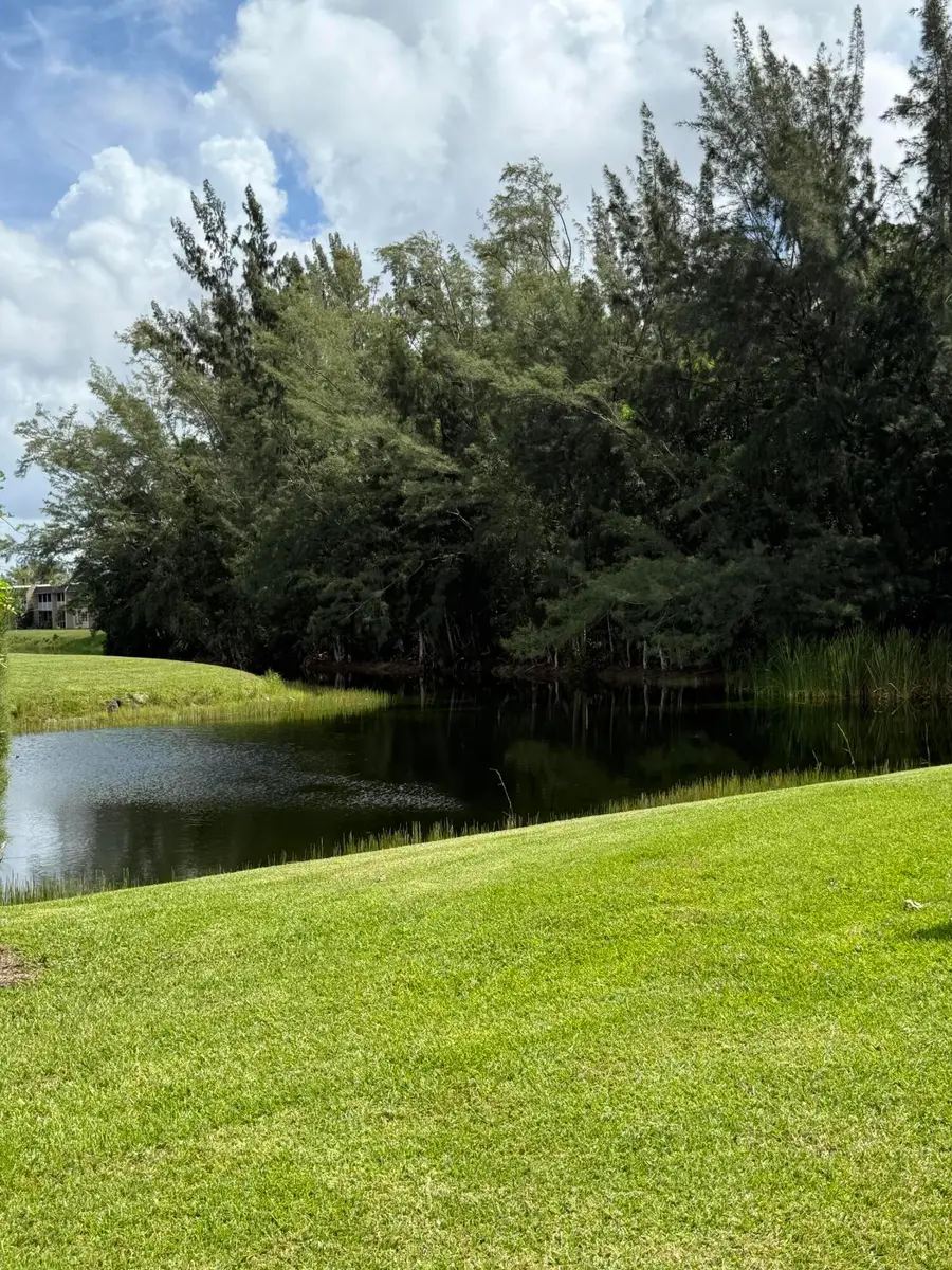 133 Lake Olive Drive, West Palm Beach, FL 33411 - #2