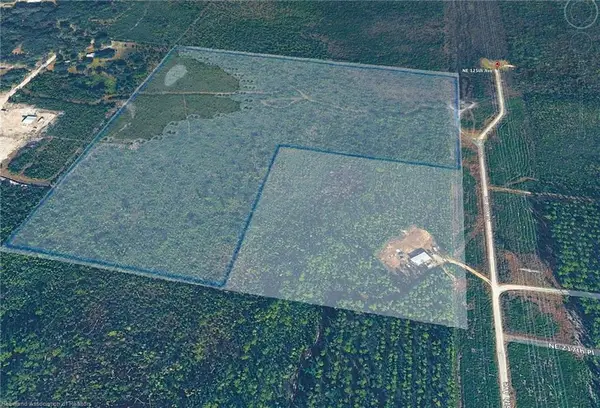 0 NE 125th Avenue, Fort McCoy, FL 32134