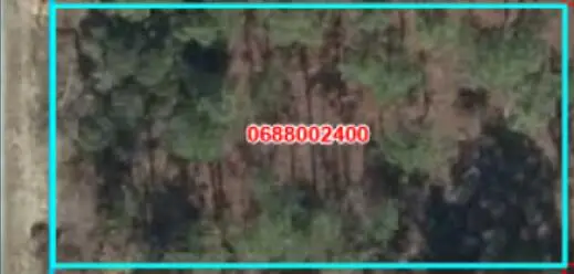 000 SE 134th Court, Rainbow Lakes Estates, FL 32621 - #2