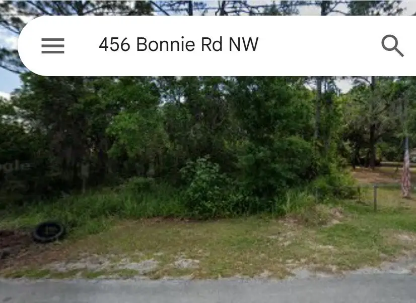 456 Bonnie Road Nw, Lake Placid, FL 33852 - #1