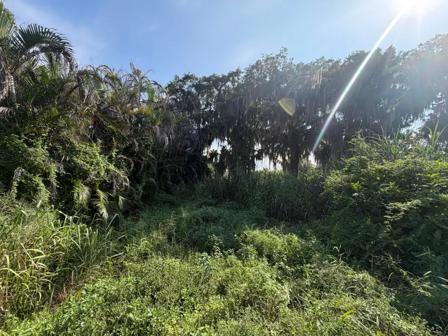 9825 U.s. 441, Okeechobee, FL 34974 - #2