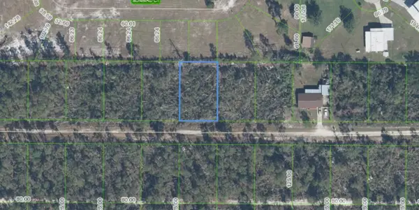 436 Nightingale Avenue, Sebring, FL 33870