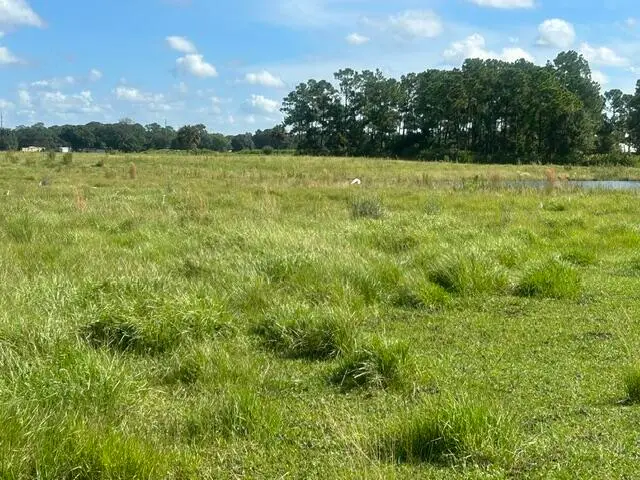 Tbd Mose Grade Road, Okeechobee, FL 34974 - #2