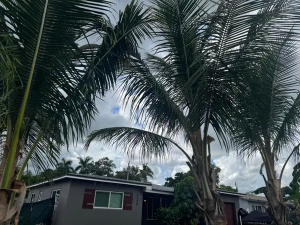 3340 SW 20th Court, Fort Lauderdale, FL 33312