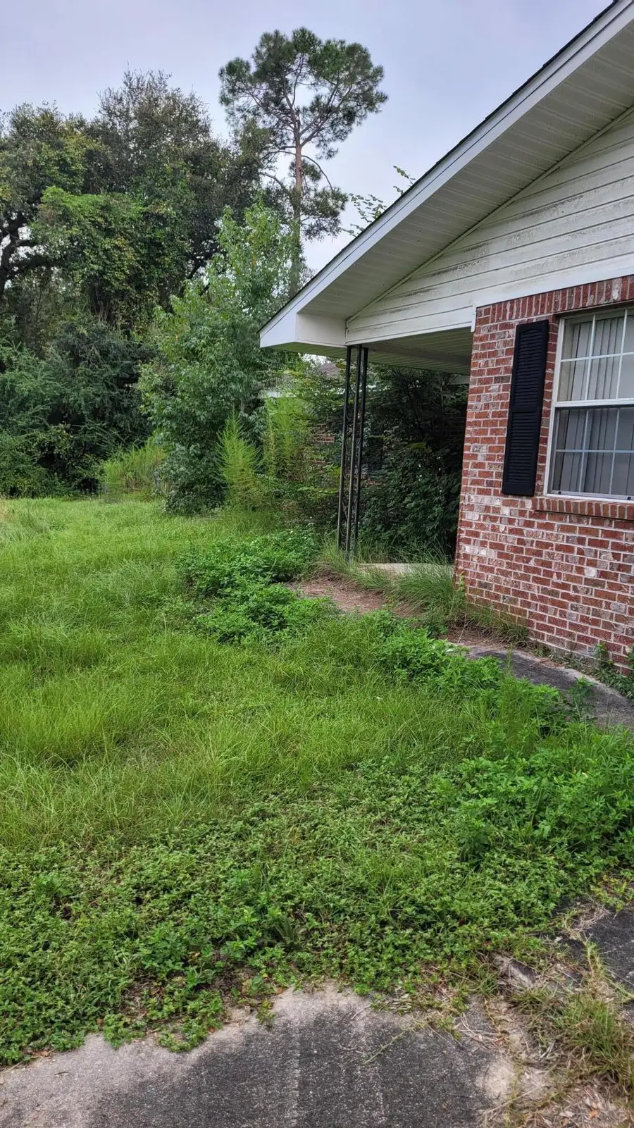 3335 Peanut Road, Cottondale, FL 32431 - #2
