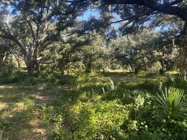 0 NW 296th Street, Okeechobee, FL 34972 - #2