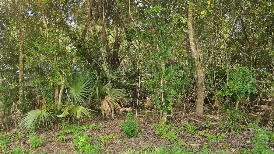 1743 SW Day Street, Port Saint Lucie, FL 34953 - #3
