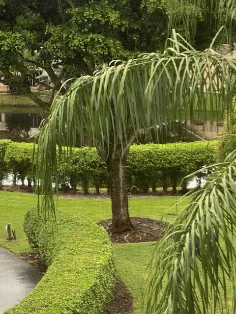 20080 Boca West Drive #448, Boca Raton, FL 33434 - #3