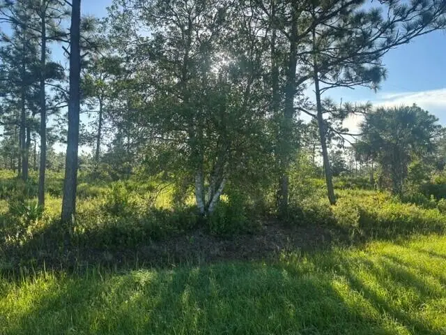 0 Grant Road, Grant Valkaria, FL 32909 - #3