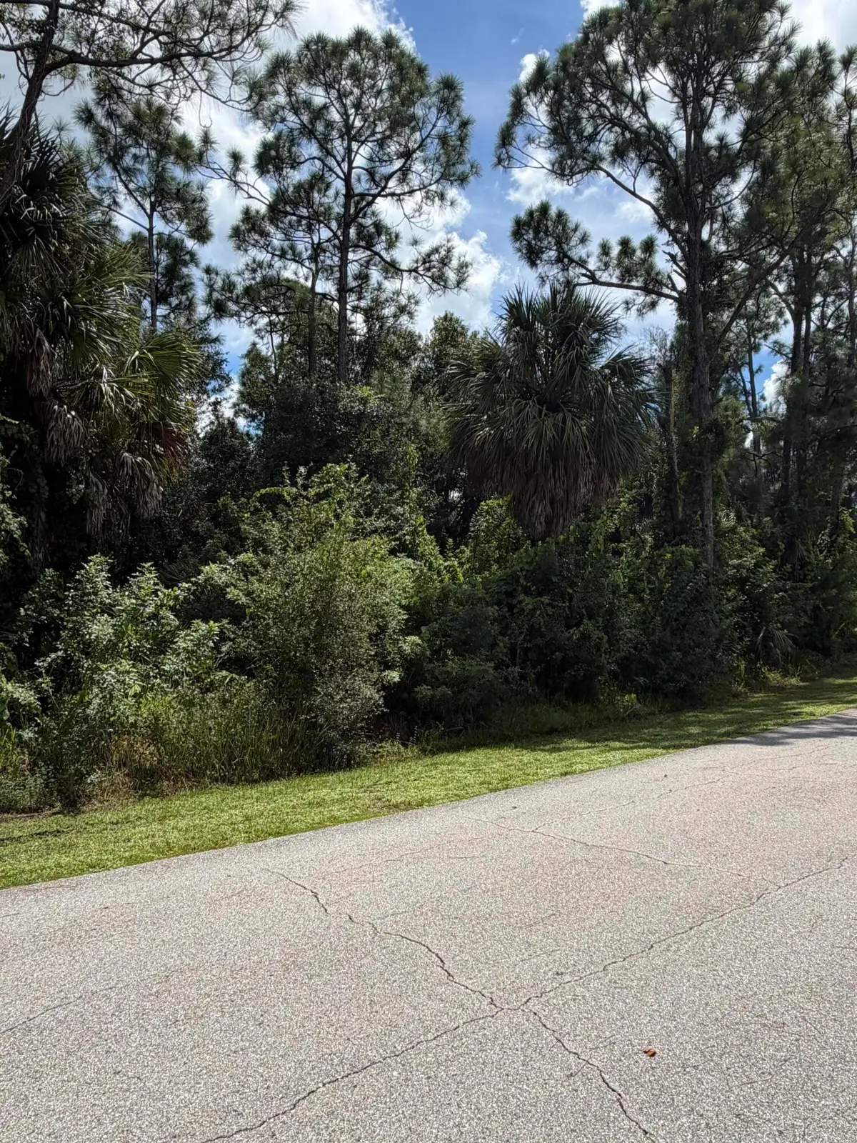 12100 Borax Avenue, Punta Gorda, FL 33955 - #1