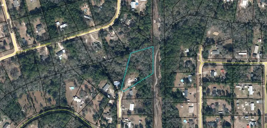 18 Ivy Court, Middleburg, FL 32068 - #3