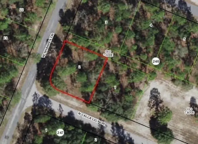 9735 N Calla Lily Way, Dunnellon, FL 34433 - #1