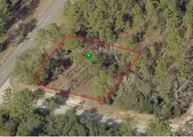 9735 N Calla Lily Way, Dunnellon, FL 34433 - #2