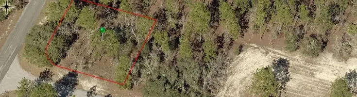 9735 N Calla Lily Way, Dunnellon, FL 34433 - #3