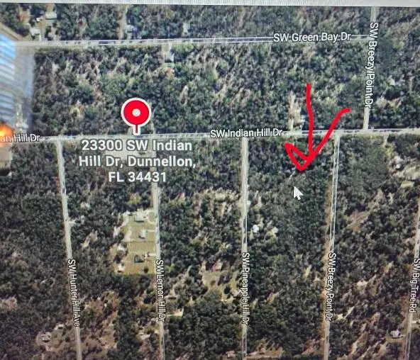 0 SW Indian Hill Drive, Dunnellon, FL 34431 - #1