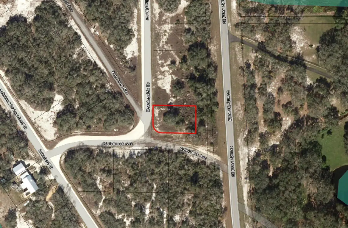788 Morningside Drive, Lake Placid, FL 33852 - #1
