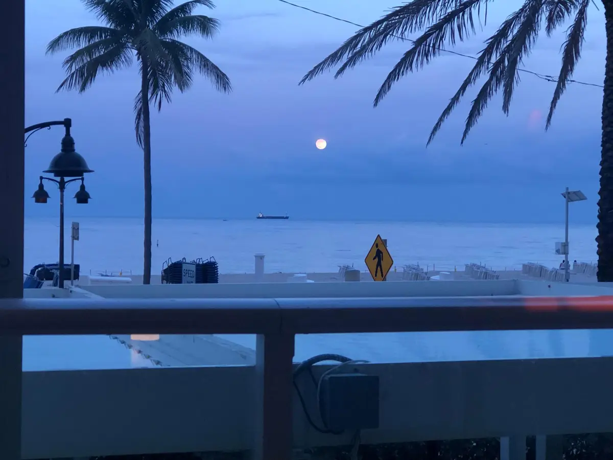3349 South Street, Hollywood, FL 33021 - #1