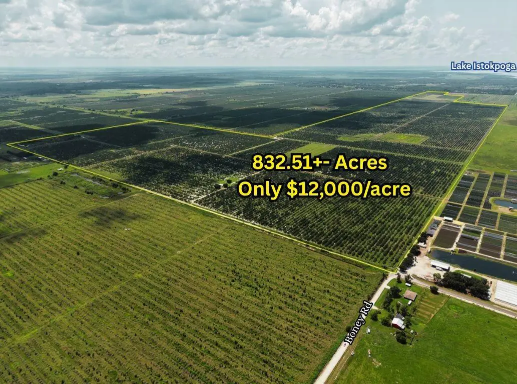 17515 Boney Road, Sebring, FL 33870 - #1