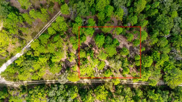 15515 SW 25th Place, Ocala, FL 34481