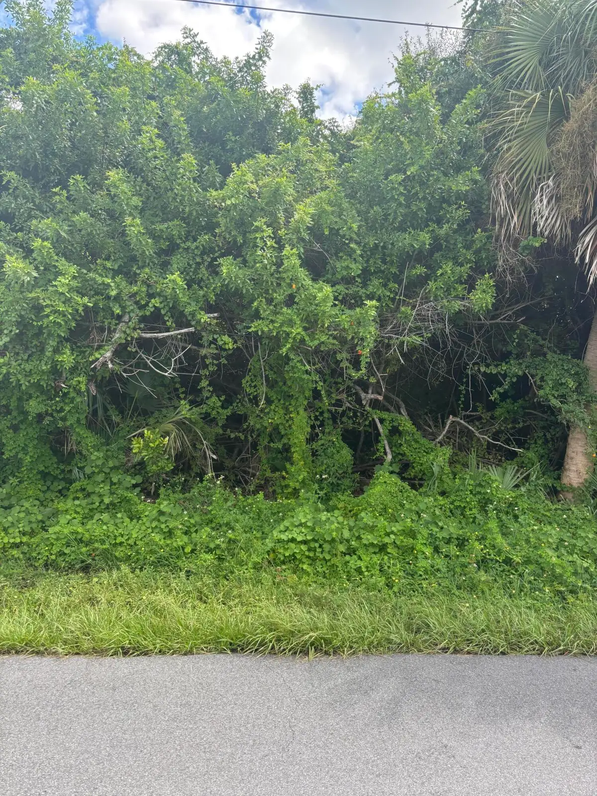 6294 Rosewood Drive, Englewood, FL 34224 - #1