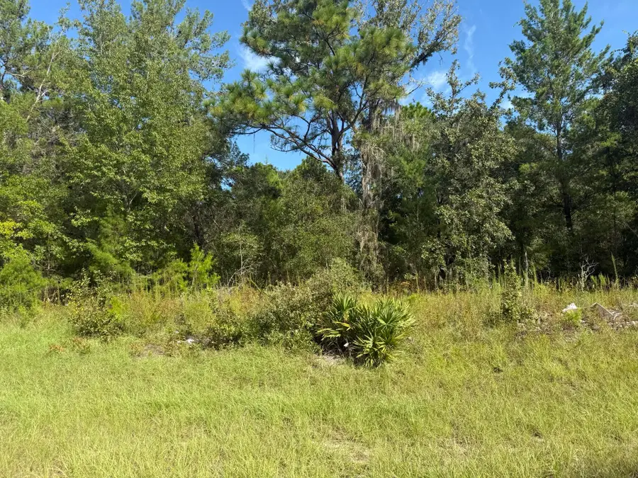 Tbd 79th Terrace Road, Dunnellon, FL 34432 - #2