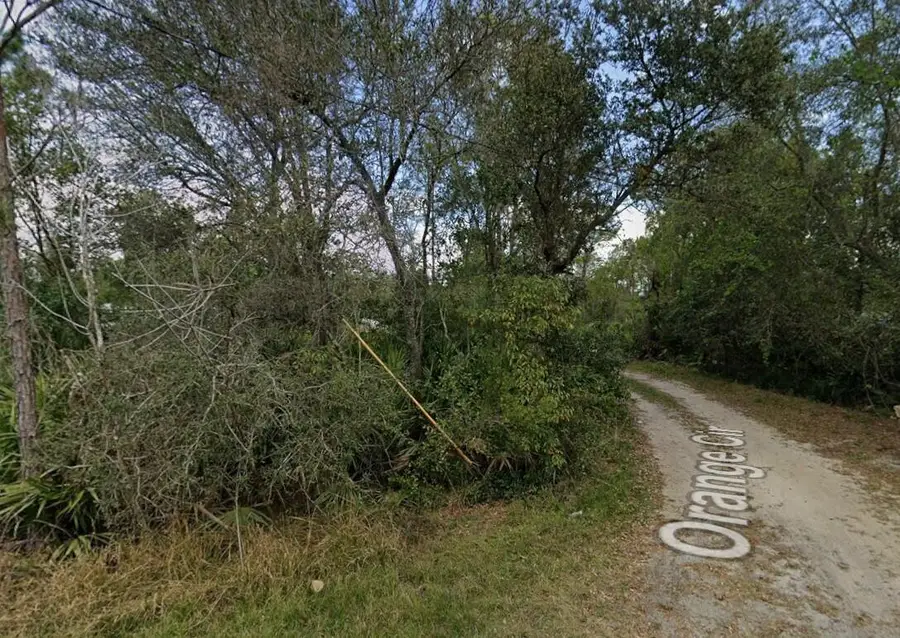 Tbd Orange, Paisley, FL 32767 - #3