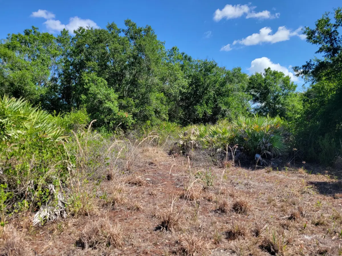 17591 NW 280th Street, Okeechobee, FL 34972 - #1