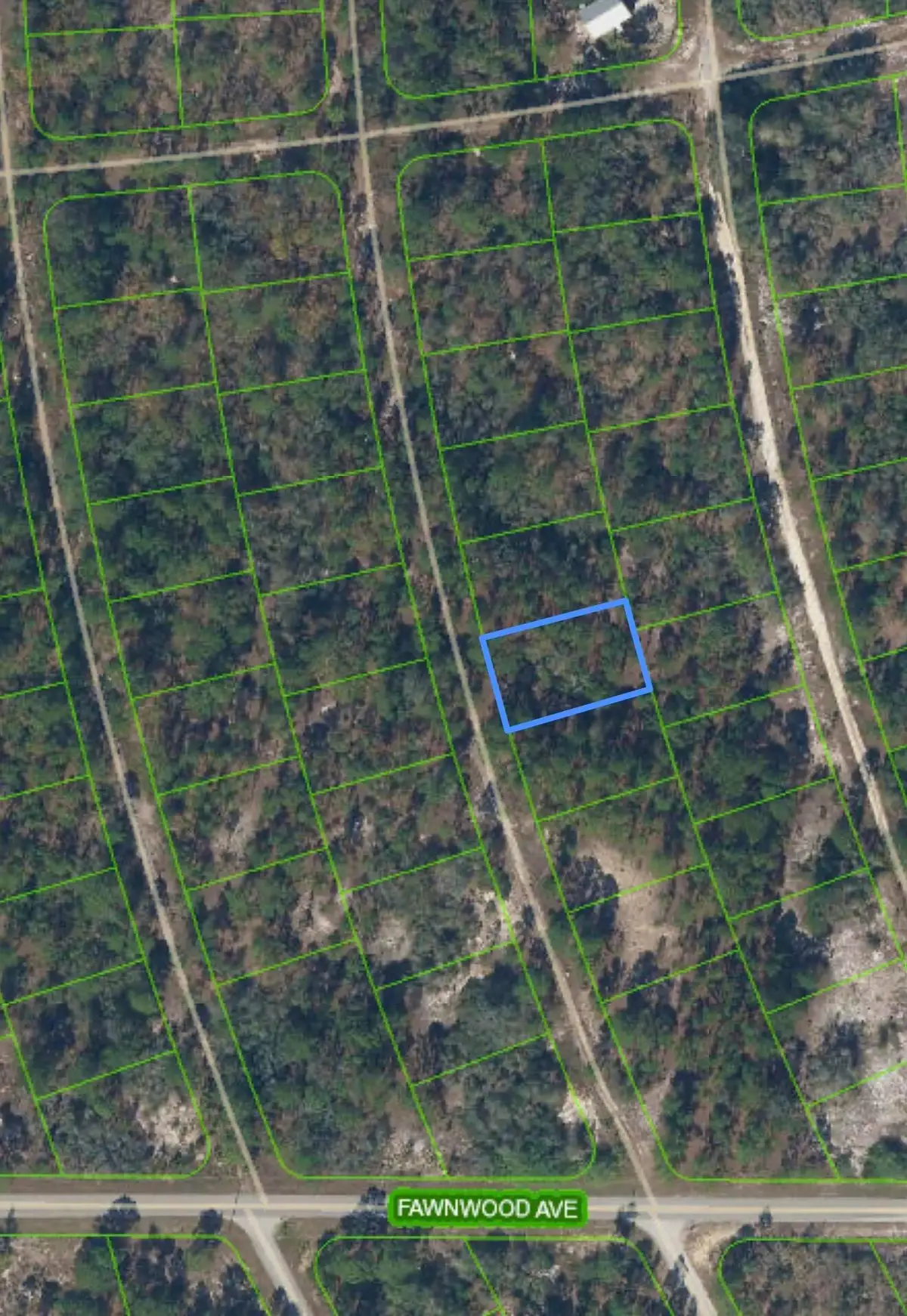 211 Sunflower Drive, Lake Placid, FL 33852 - #1