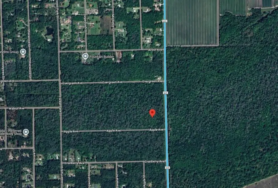 3540 Apple Avenue, Bunnell, FL 32110 - #2