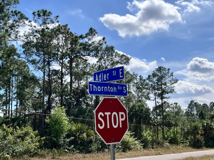 860 Adler Street E, Lehigh Acres, FL 33974 - #3